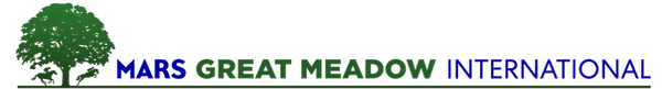 2020-MARS-GMI-One-Line.png